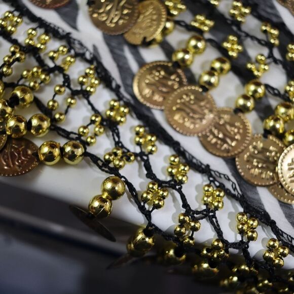 Zebra Print Sheer Belly Dancing Scarf Shimmy Coin Jingle Noise Making Hip Scarf - Picture 5 of 10